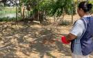 Doña Felicitas alimenta a más de 30 iguanas en Lomas del Coyol, en Veracruz | VIDEO
