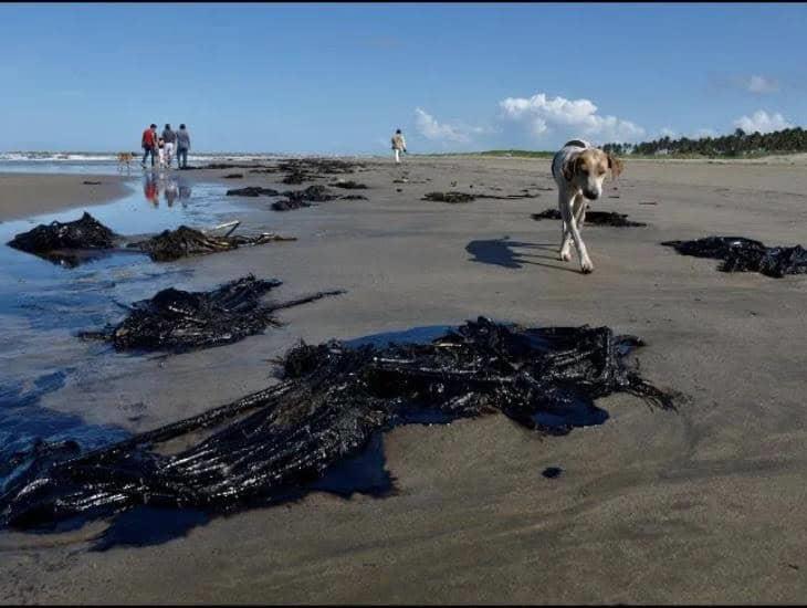 Pemex: ¿qué tanto afectó a la fauna marina el derrame de crudo en Tabasco?