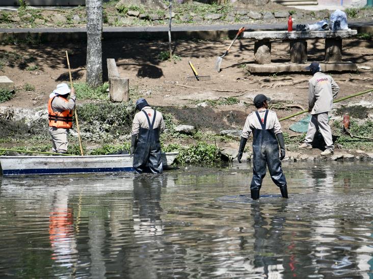 Ayuntamiento comienza acciones para sanear lago de Las Ánimas
