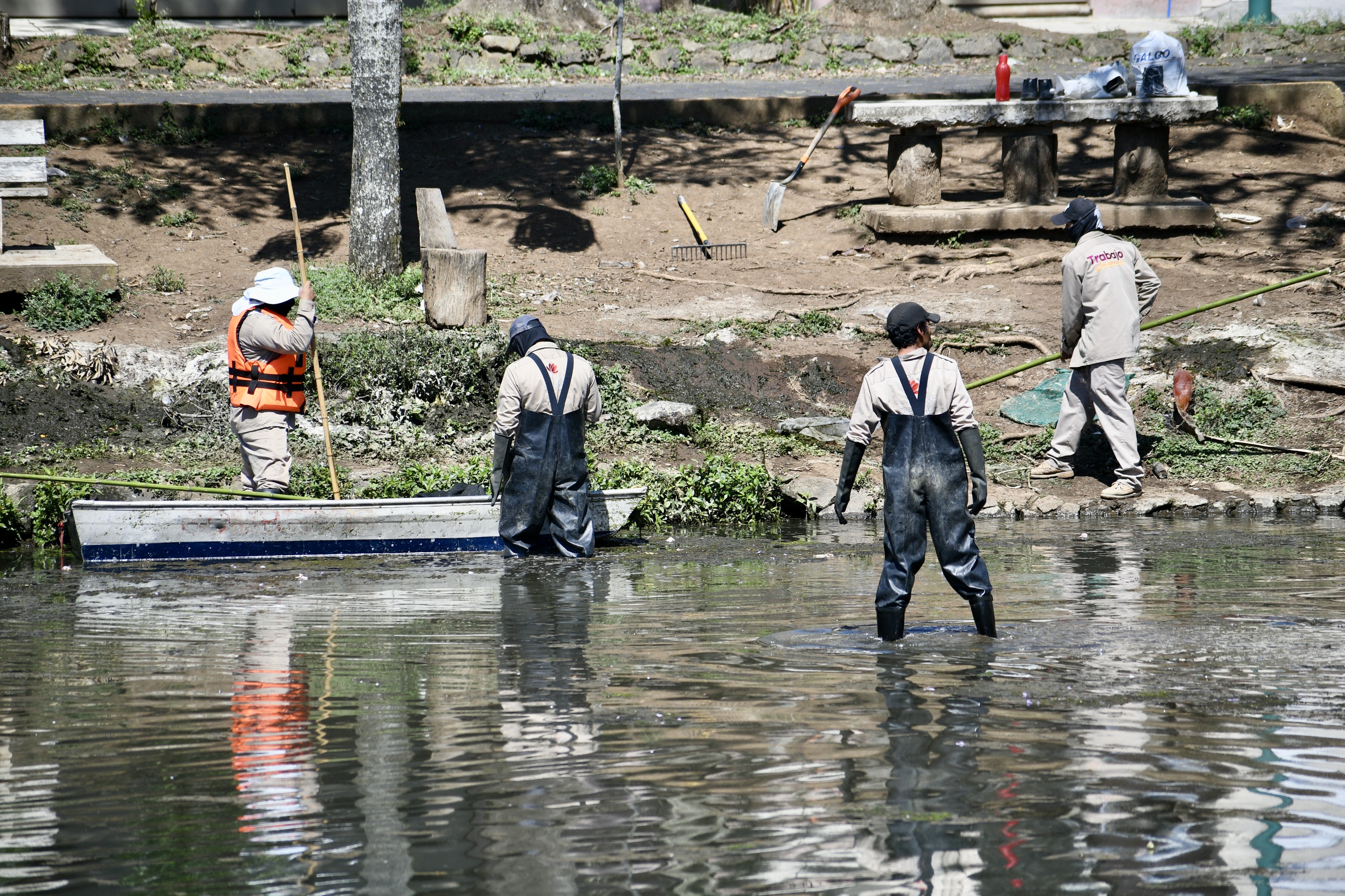 Ayuntamiento comienza acciones para sanear lago de Las Ánimas