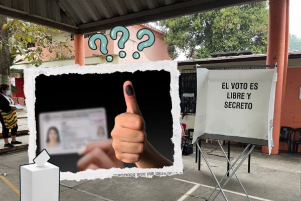 Elecciones Veracruz: ¿qué cargos se eligen el próximo 1 de junio?