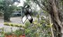 Fallece oficial mujer en Martínez de la Torre; tenía distintivo Suricata