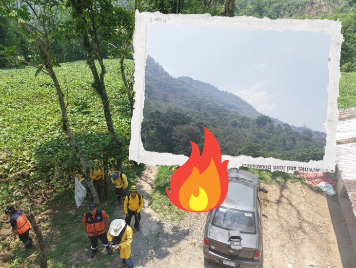 Logran liquidar incendio en el cerro de Tonalapa, en Ixtaczoquitlán