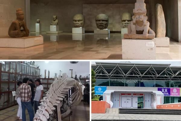 Veracruz, lugar 15 en número de visitantes a sus museos