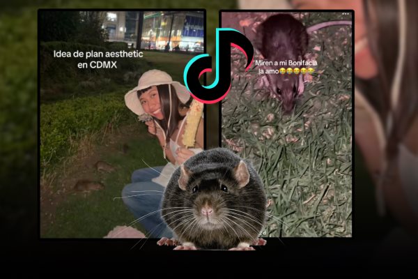 Ratas en Bellas Artes: El polémico "plan aesthetic" que se volvió viral en CDMX