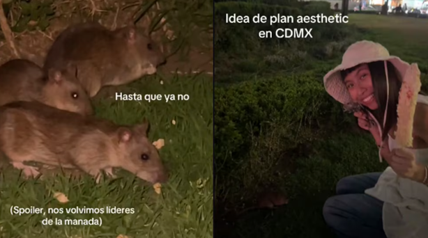 Ratas en Bellas Artes: El polémico "plan aesthetic" que se volvió viral en CDMX