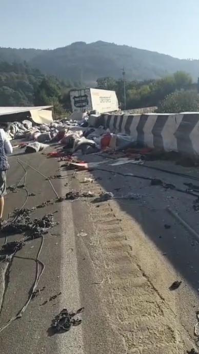 Se registra volcadura de tractocamión en la autopista Puebla-Orizaba