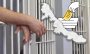 Elecciones 2025: Se podrá votar en 5 de los 18 centros penitenciarios de Veracruz