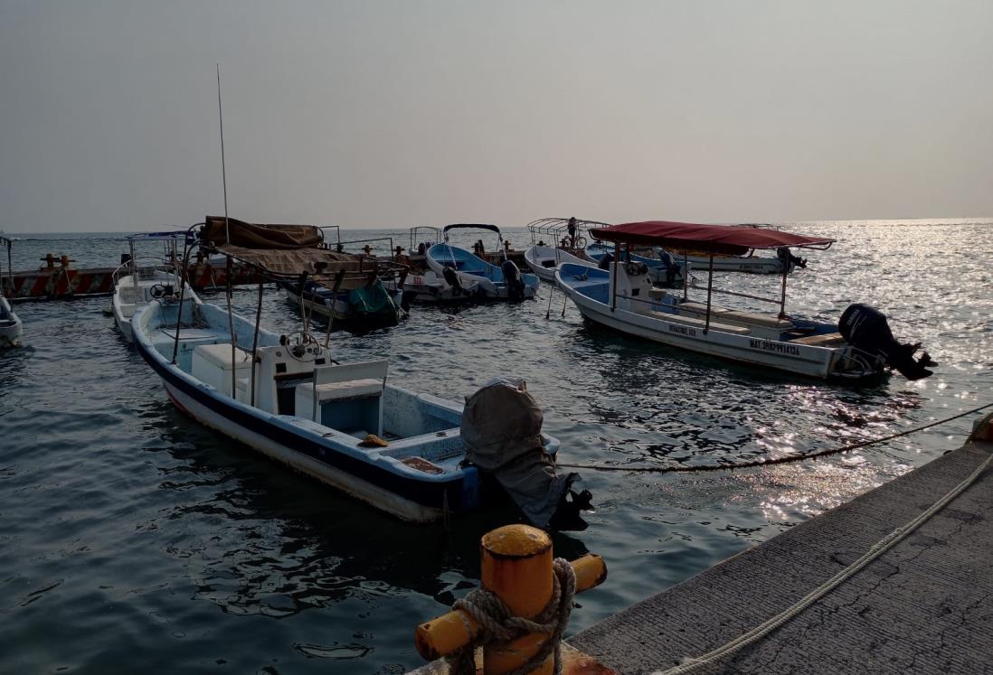 En un día bueno los pescadores de Veracruz llegan a sacar hasta una tonelada de peces
