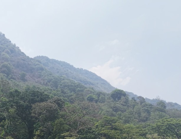 Logran liquidar incendio en el cerro de Tonalapa, en Ixtaczoquitlán