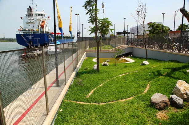 Nuevo Iguanario de Coatzacoalcos ya tiene inquilinos, ¿ya fue inaugurado?