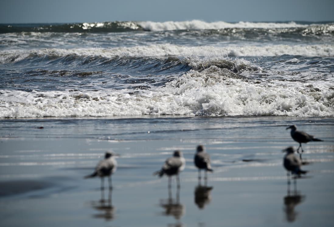 Hoy seguirá la ola de calor en Veracruz; temperatura alcanzará los 37 grados