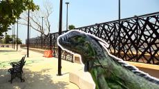 Nuevo Iguanario de Coatzacoalcos ya tiene inquilinos, ¿ya fue inaugurado?