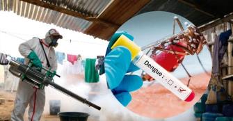 Así va el dengue en Veracruz este año,no bajes la guardia