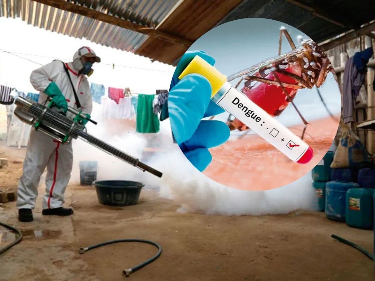 Así va el dengue en Veracruz este año,no bajes la guardia
