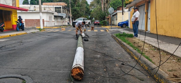 Conductor derriba poste en la avenida Venustiano Carranza y huye en Xalapa