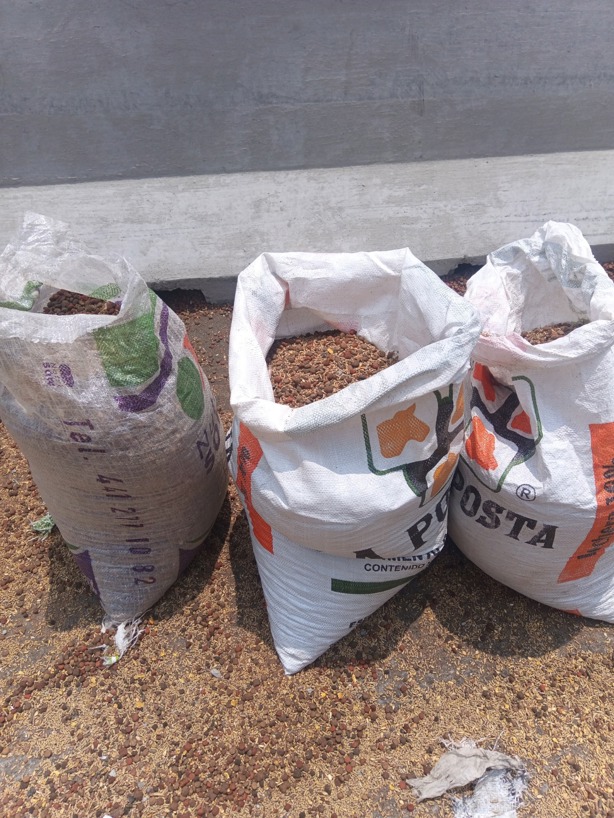 Tráiler con alimento vuelca y termina saqueado e incendiado en libramiento de Xalapa- Perote