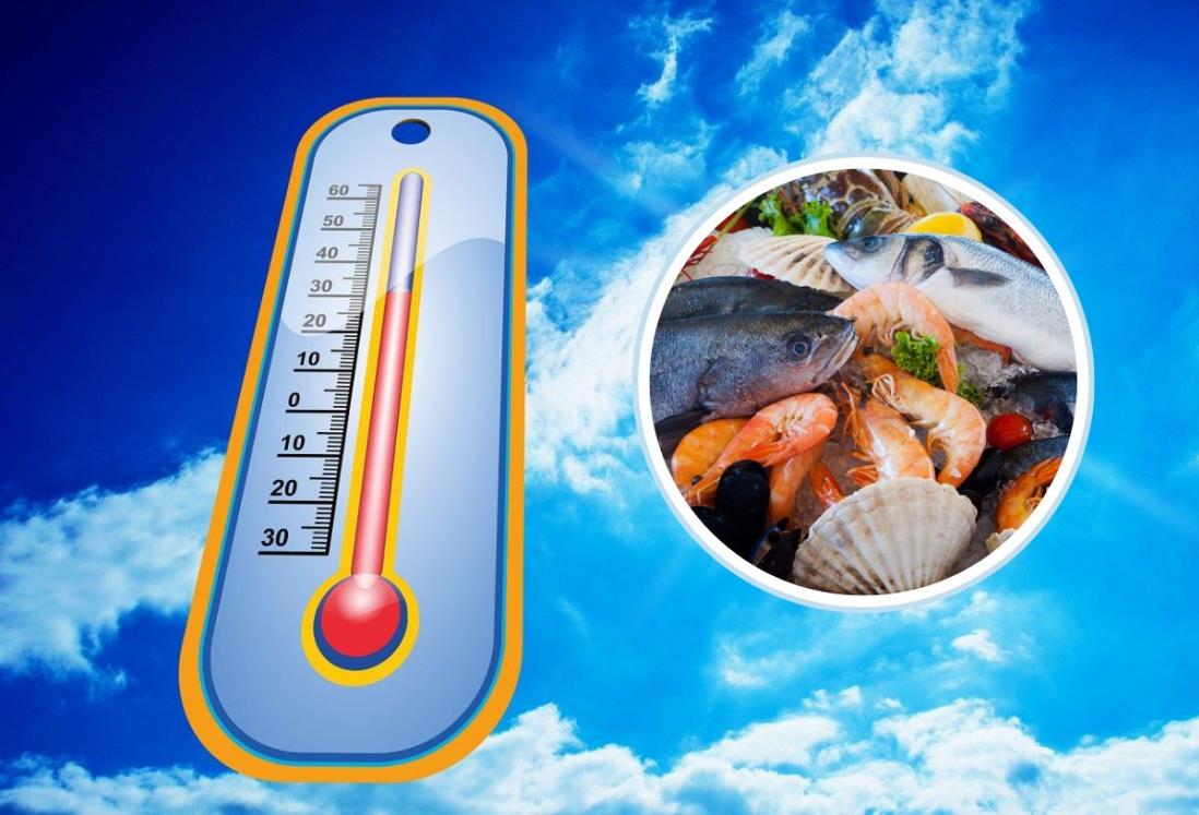 Ola de calor: 3 alimentos que debes evitar consumir