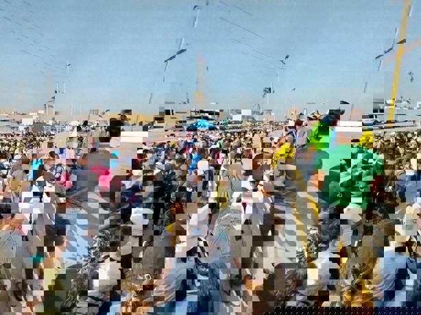 Día Mundial del Reciclaje: Realizan jornada de limpieza en playa de Coatzacoalcos ¿cuántas toneladas de basura recolectaron?