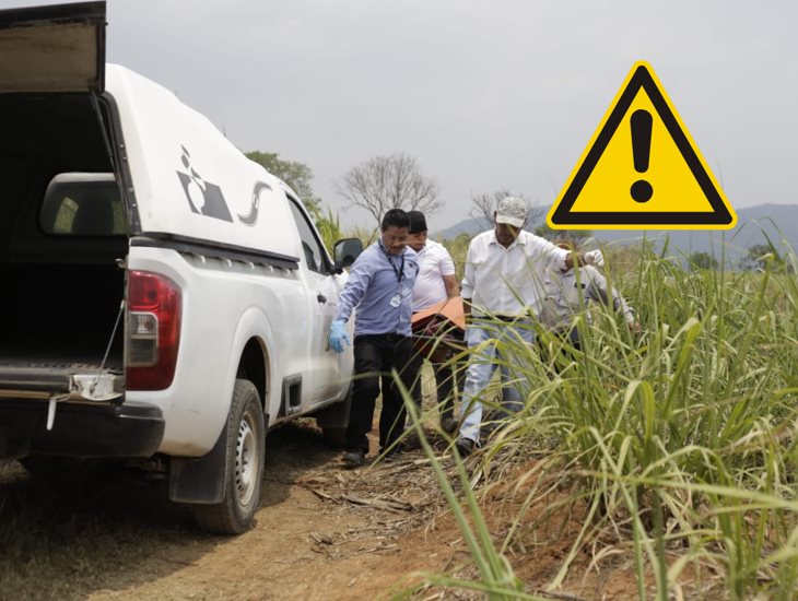 Hallan cadáver con huellas de tortura en camino rural de Atoyac