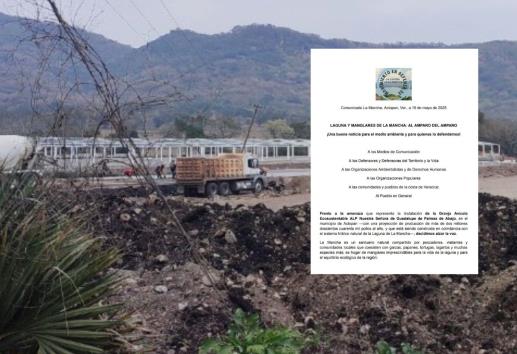 Exhiben amenaza de granja a laguna y manglares de La Mancha; celebran amparo