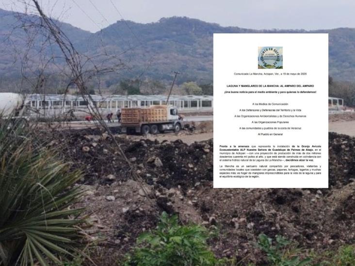 Exhiben amenaza de granja a laguna y manglares de La Mancha; celebran amparo