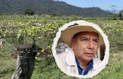 te-puede-interesar