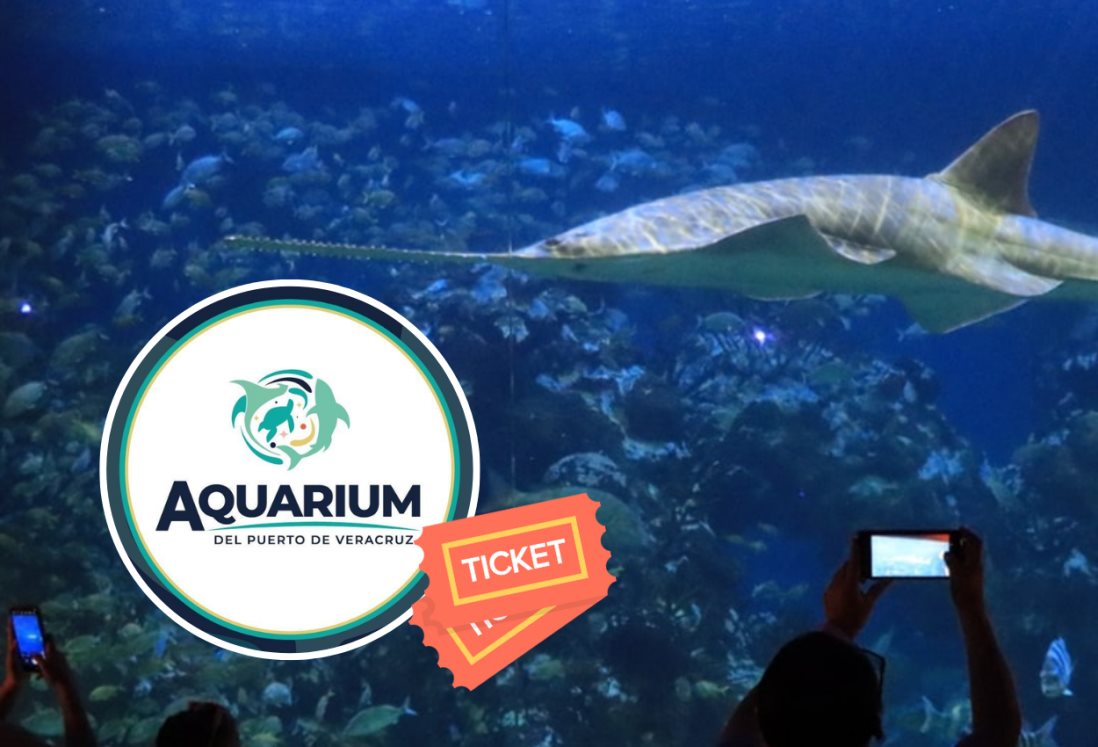Aquarium de Veracruz: este será el próximo martes gratis en junio 2025