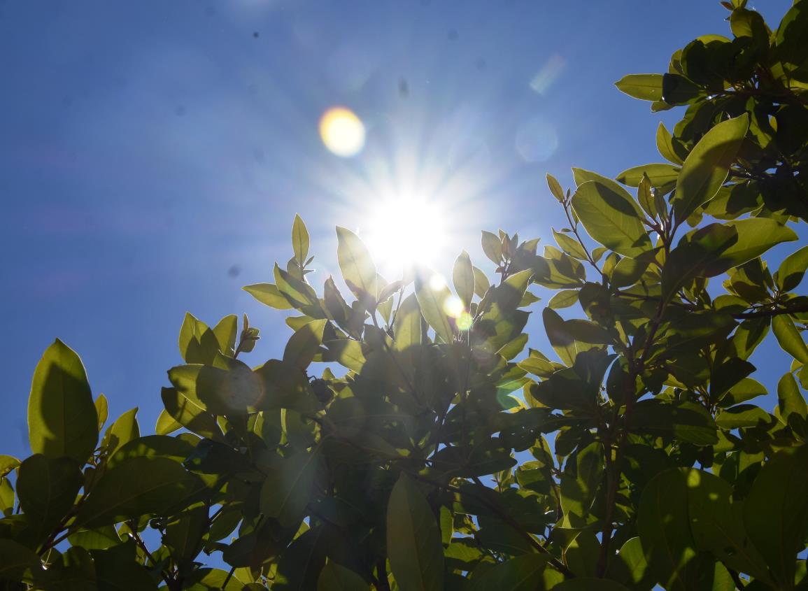 Ola de calor alcanza su mayor intensidad; sensación de 55 grados agobia a Coatzacoalcos