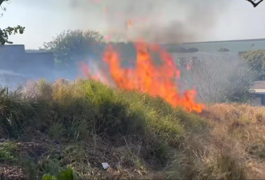 Evacuan a alumnos de Cetmar en Alvarado por conato de incendio