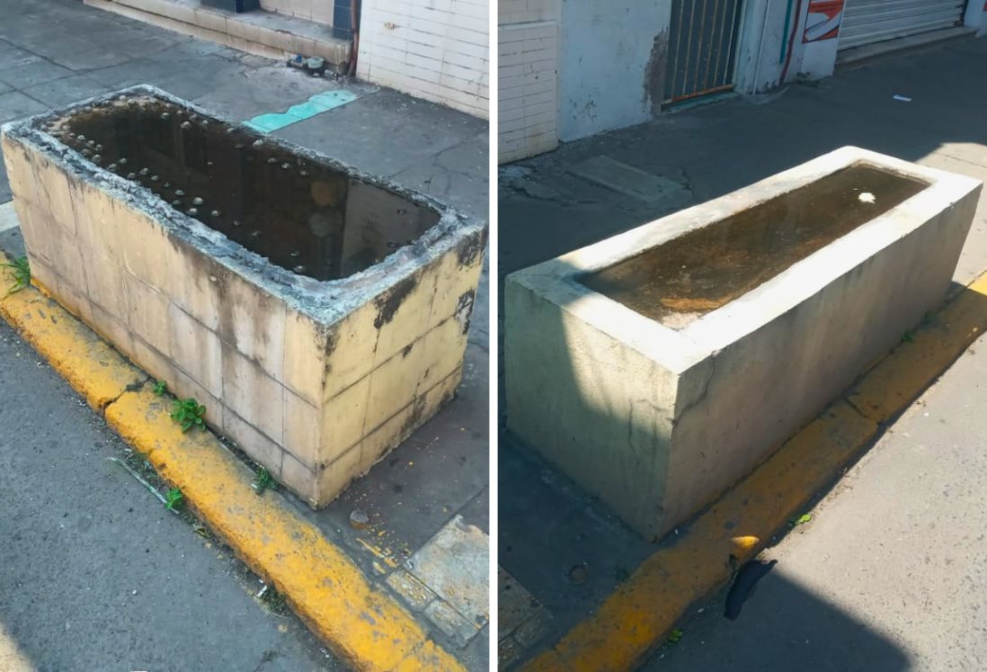 Vecinos del Centro de Veracruz denuncian estructuras con agua que estorban y generan mosquitos