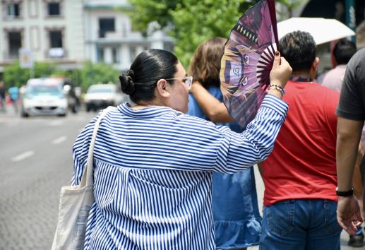 Van tres olas de calor este 2025 en Veracruz; la última con estrés térmico