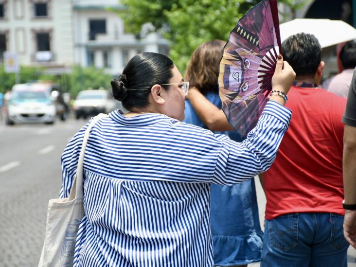 Van tres olas de calor este 2025 en Veracruz; la última con estrés térmico