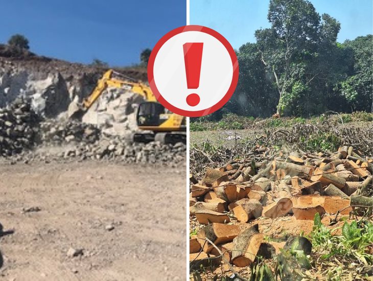 Denuncian ecocidio en Actopan: arrasan hectáreas de árboles para explotar grava sin permisos