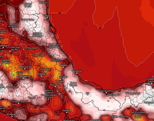 ¿Electrolitos o agua? esta es la forma correcta de hidratarse ante la Ola de Calor
