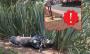 Muere estudiante del CBTA 99 en Tomatlán tras derrapar en motocicleta