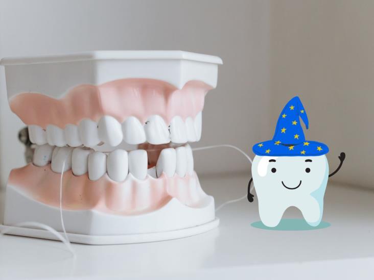 Crean tratamiento para regenerar dientes humanos; ¿en qué consiste?