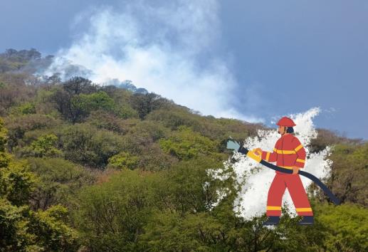 Huiloapan: Controlan al 65 % incendio forestal en el cerro San Cristóbal (+Video)