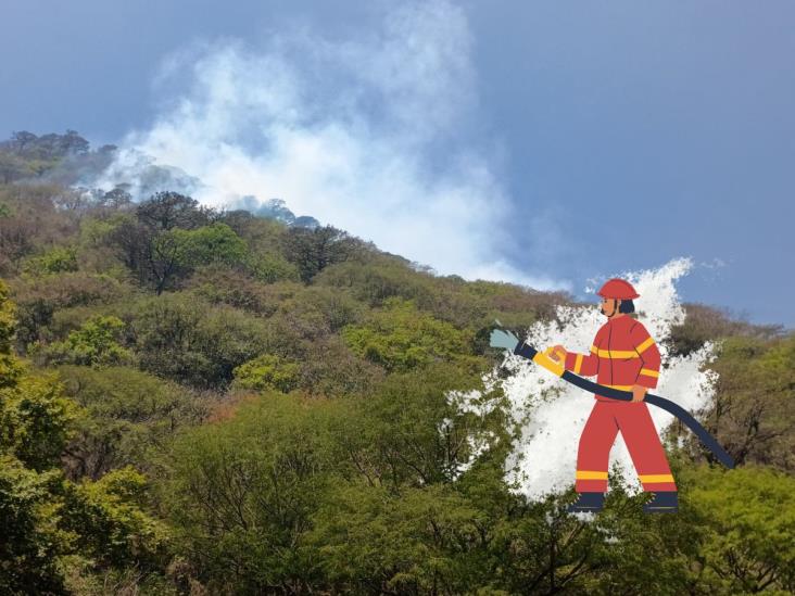 Huiloapan: Controlan al 65 % incendio forestal en el cerro San Cristóbal (+Video)