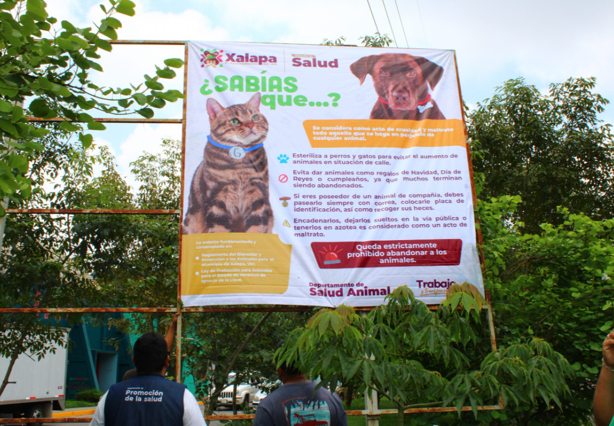 ¿Dónde denunciar el maltrato animal en Xalapa?
