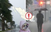 te-puede-interesar