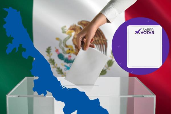 Violencia electoral en Veracruz puede afectar legitimidad de proceso: Plataforma Saber Votar