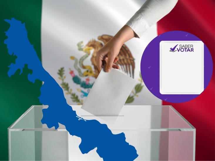 Violencia electoral en Veracruz puede afectar legitimidad de proceso: Plataforma Saber Votar