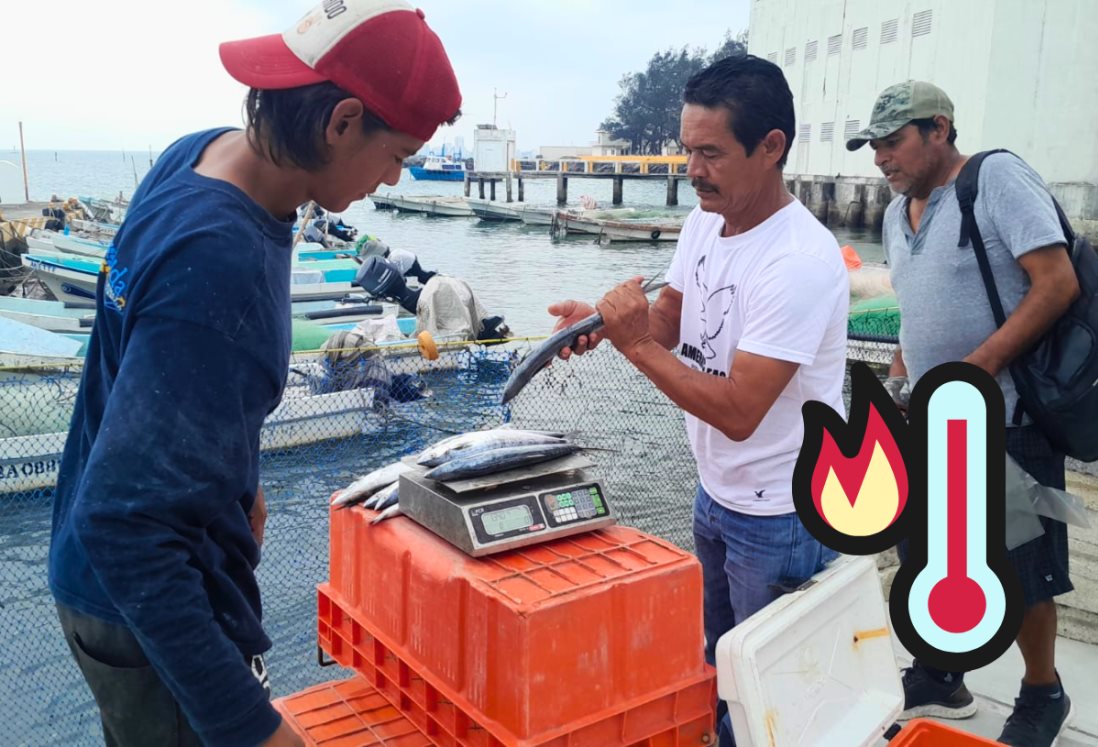 Pescadores de Veracruz enfrentan crisis por sobrecalentamiento del mar y baja producción
