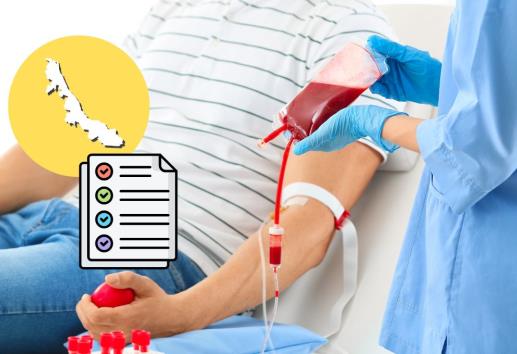 ¿Cómo donar sangre en Veracruz? Estos son los requisitos indispensables