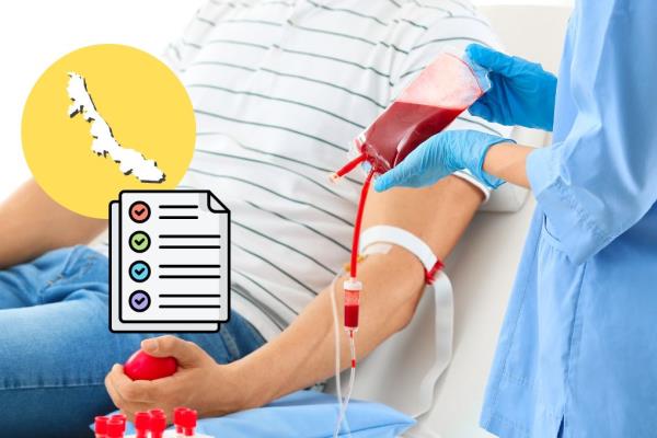 ¿Cómo donar sangre en Veracruz? Estos son los requisitos indispensables