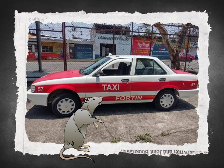 ¡Desapareció! Se roban taxi estacionado en el centro de Fortín