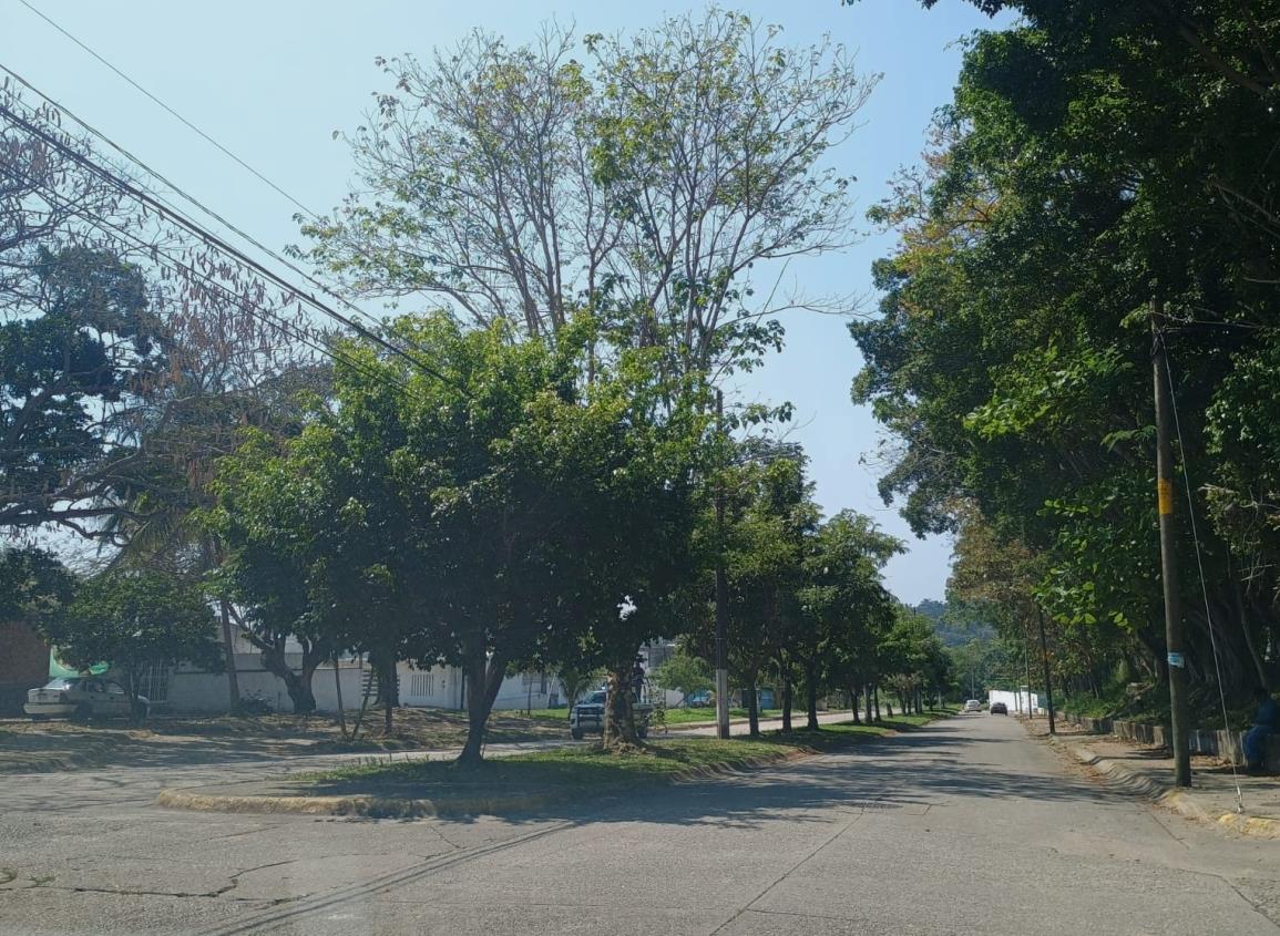 Incrementan robos a casa habitación en colonias de Nanchital