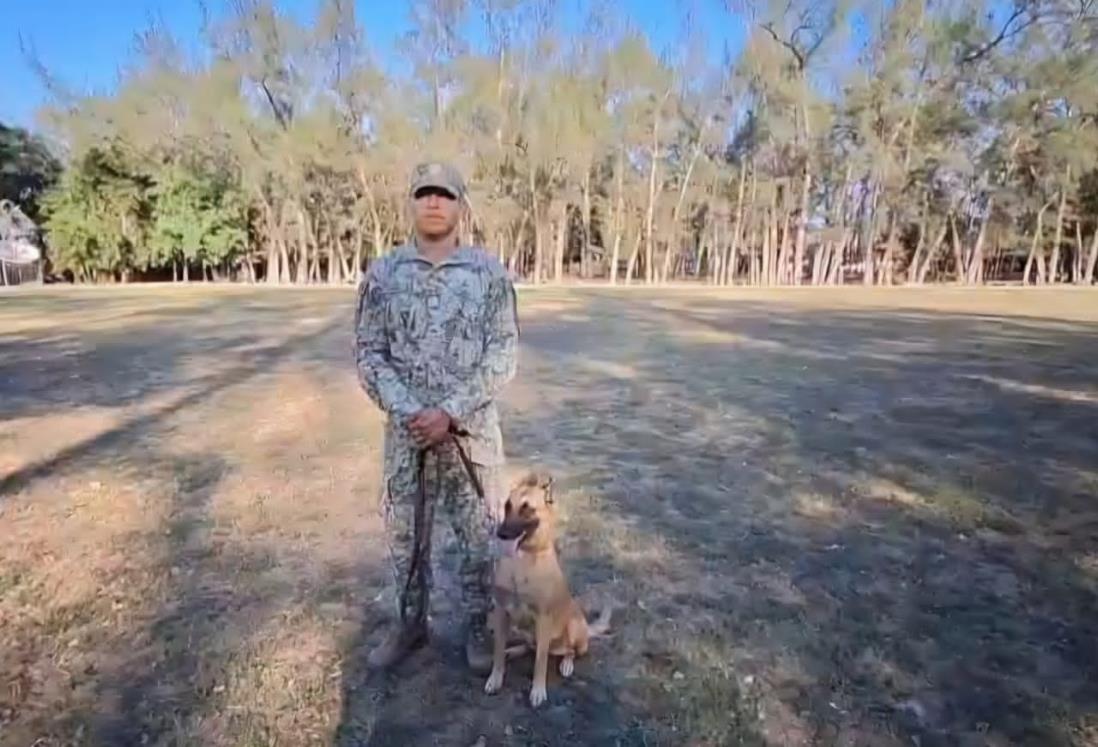 Binomios caninos del Ejército al resguardo de la seguridad nacional