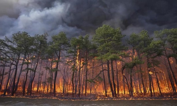 5 formas de impedir incendios forestales o en pastizales en Veracruz